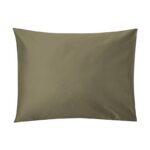 Standard-silver-sage-2026-pp