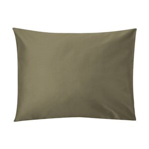 Standard-silver-sage-2026-pp-3