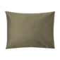 Standard-silver-sage-2026-pp-3