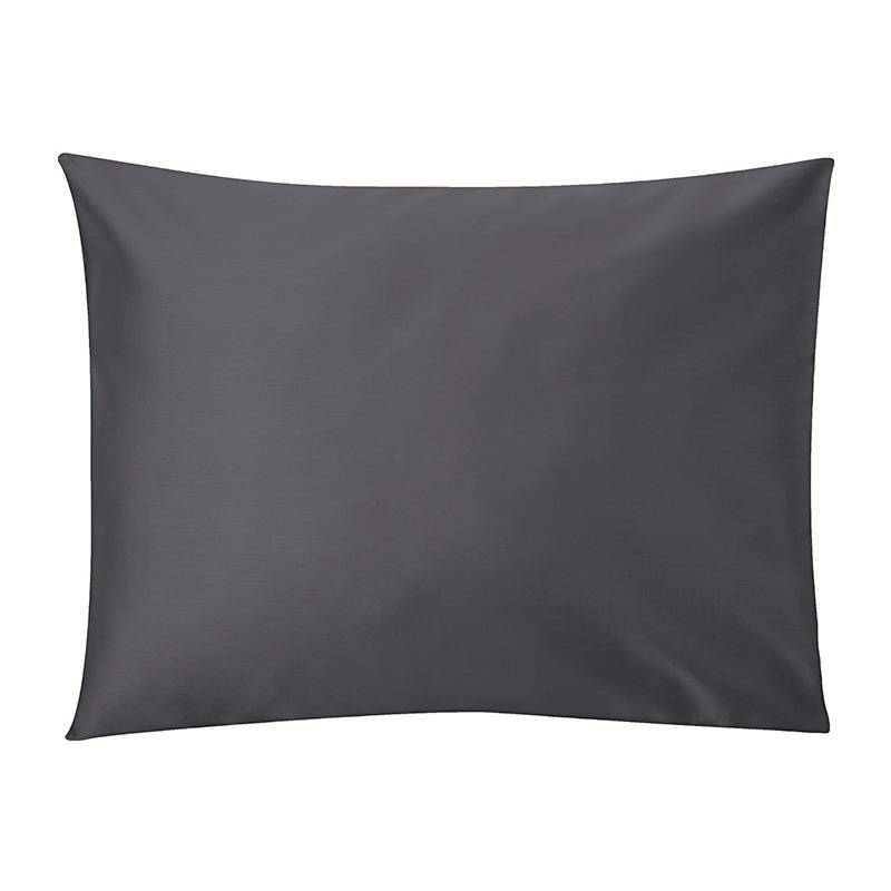 Standard-tumehall-2026-pp-2 Standard-tumehall-2026-pp-2