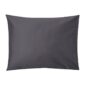 Standard-tumehall-2026-pp-3